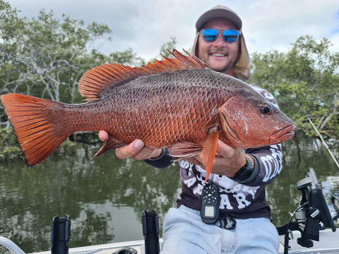 Mangrove Jack Species Guide - Fisho's Tackle World