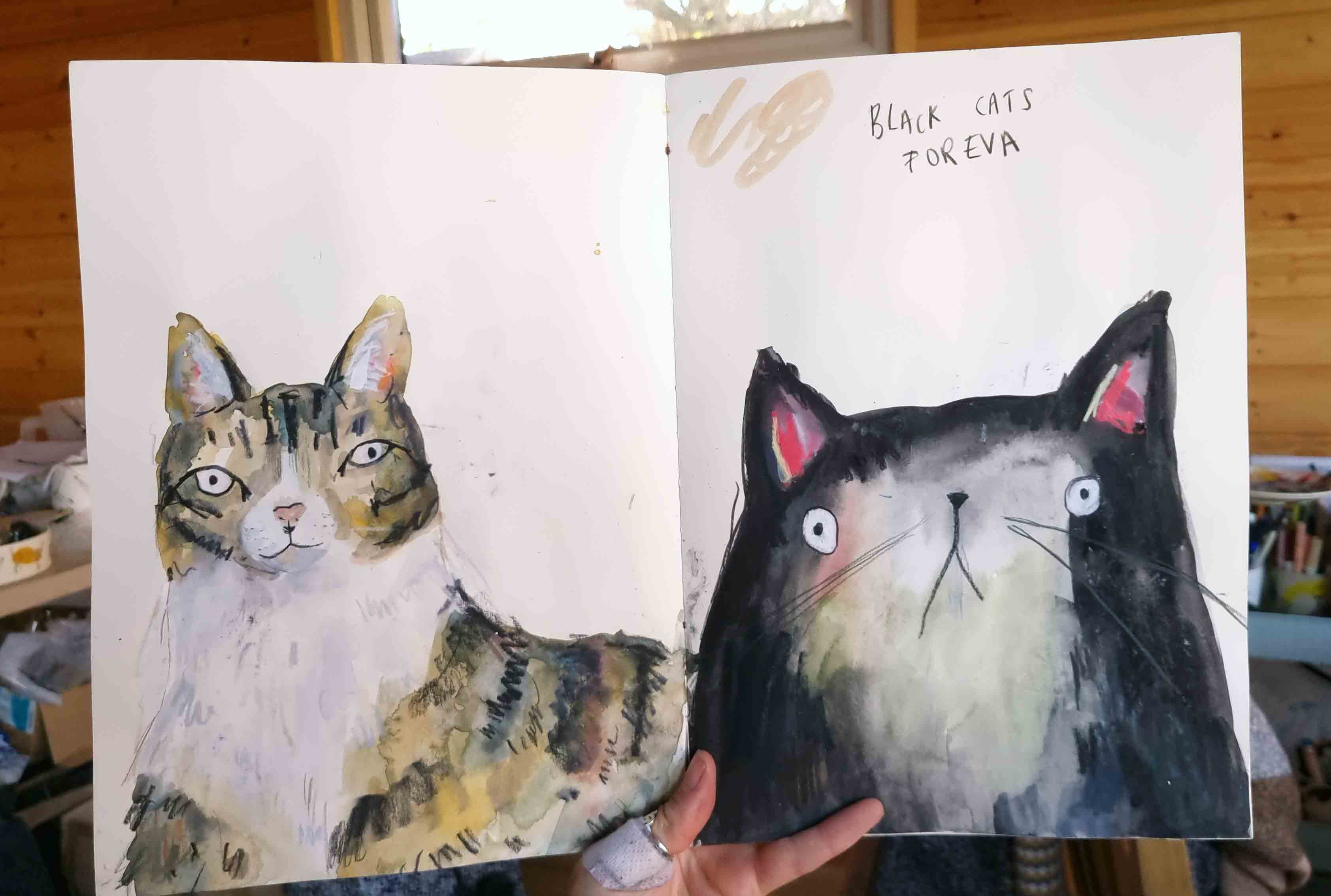 cats in a sketchbook, made by harriet sketchbook
