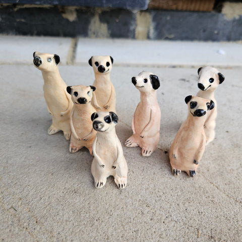 Meerkats