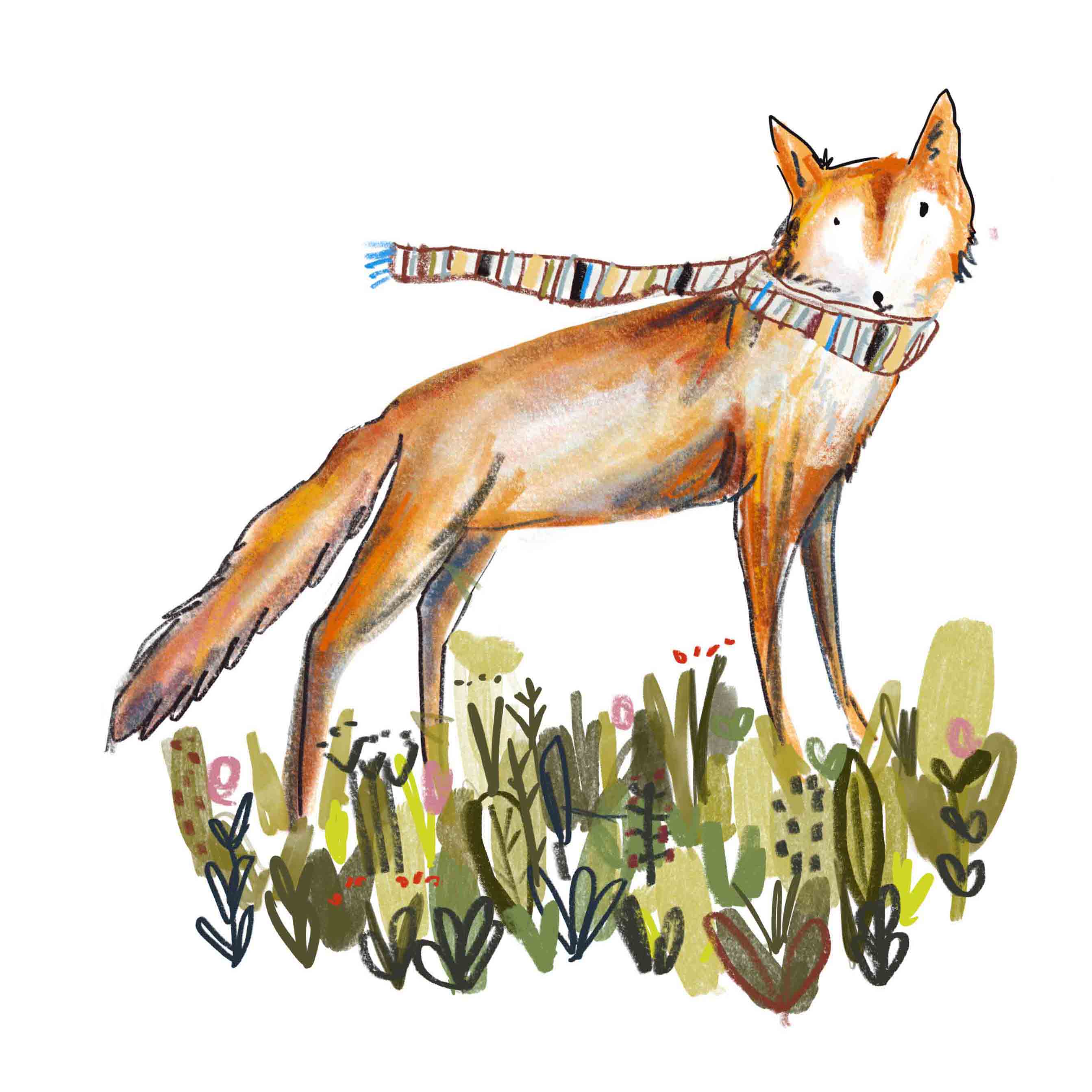 fox in scarf, made by harriet fox drawing, 