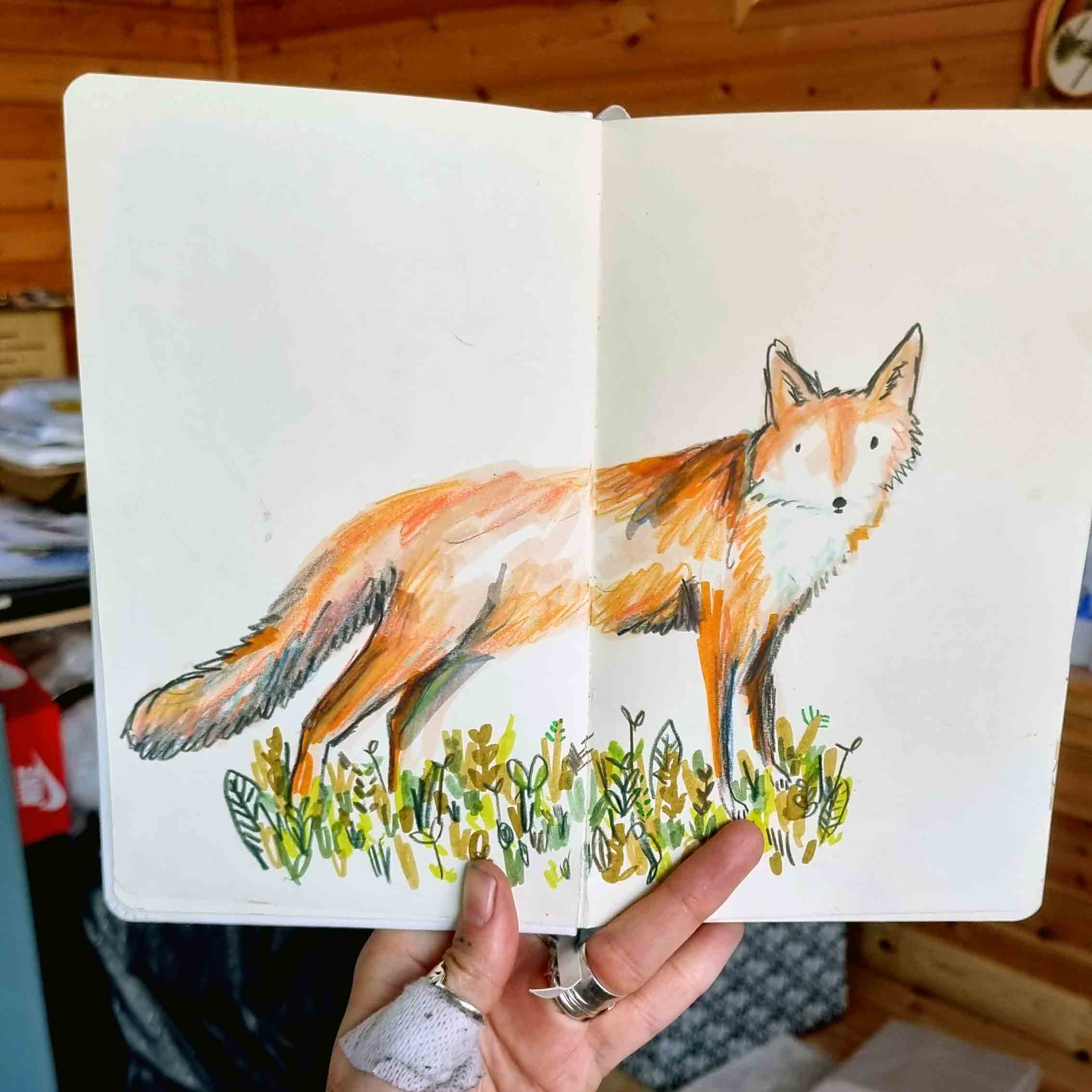 fox drawing, fox sketchbook, fox, made by harriet