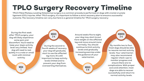 TPLO Surgery Recovery Timeline