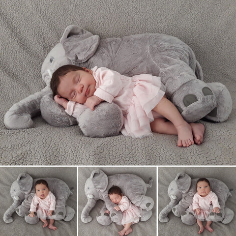 Baby photoshoot with an elephant