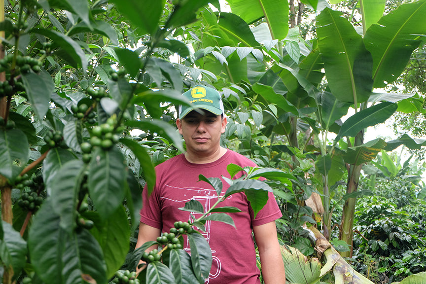 Elkin Guzman coffee producer