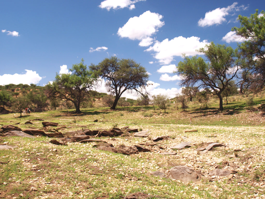 Adventuring at Daan Viljoen Game Park near Windhoek