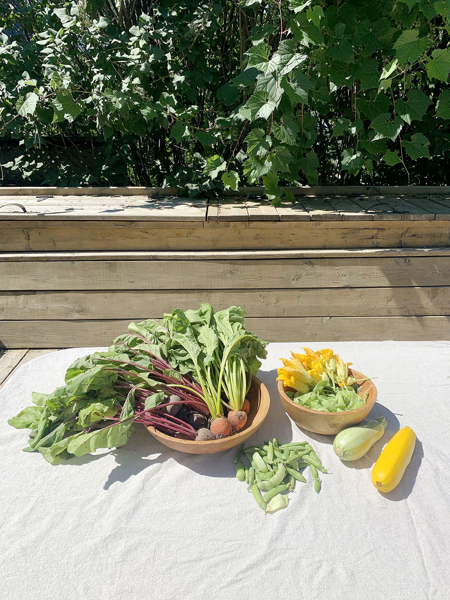 Bounty! Vegetables grown by the family