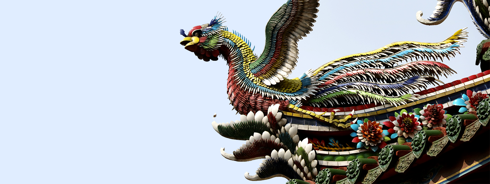 Chinese Phoenix