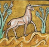 bestiari medievali