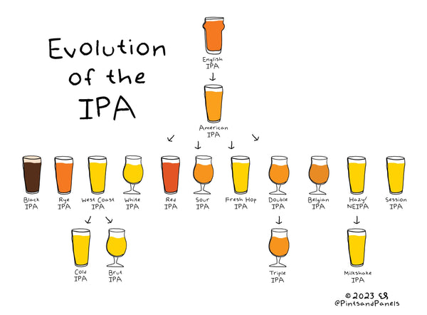 Evolution of the IPA