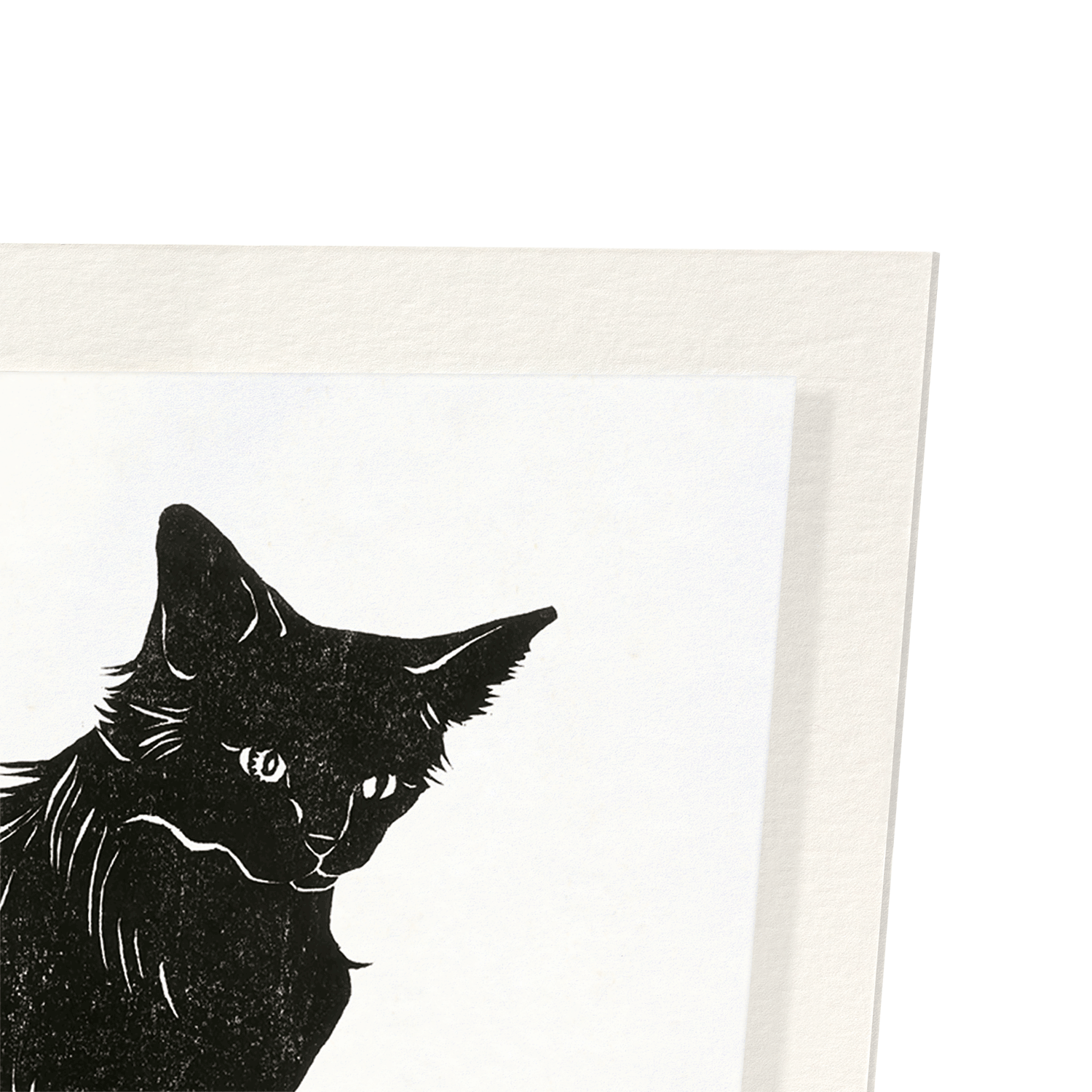 CAT NO.12: 2xPrints