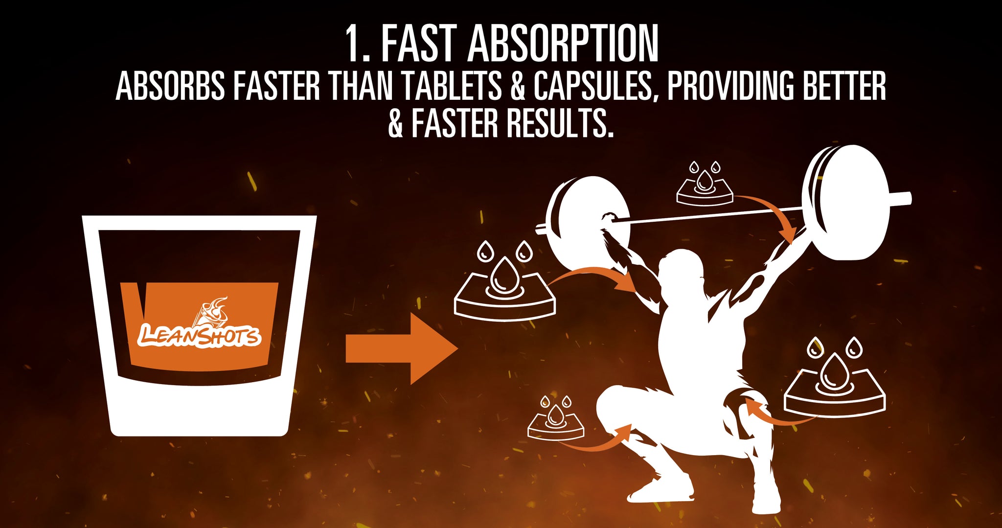 L-Carnitine Benefit #1 - Fast Absorption