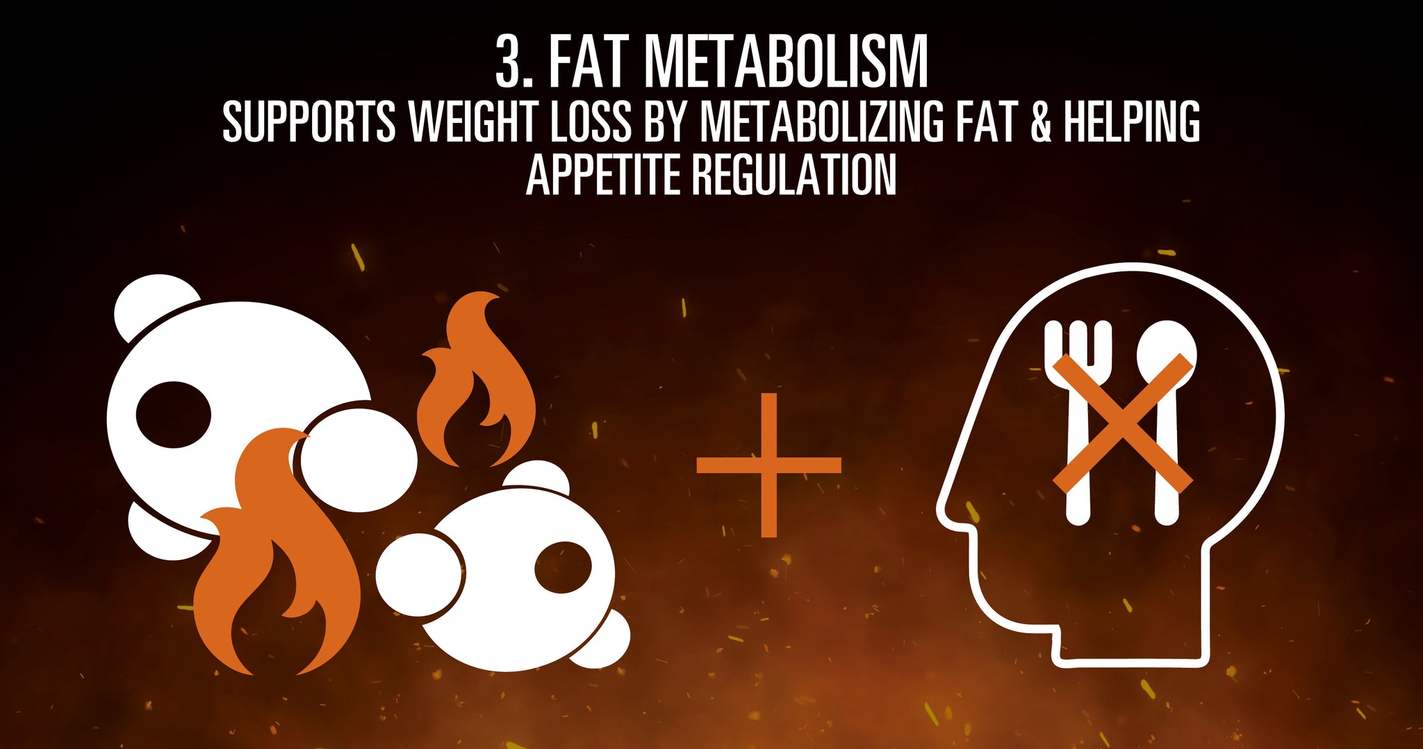 L-Carnitine Benefit #3 - Fat Metabolism