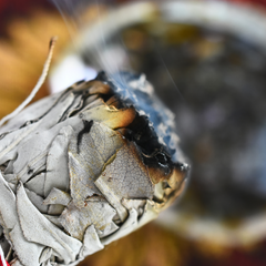 a close up of a burning white sage