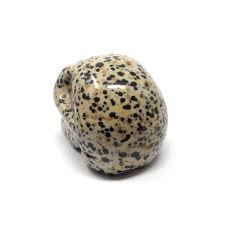 a small spotted rock with a white background