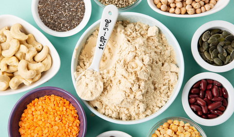 Plant-Based Protein Powders