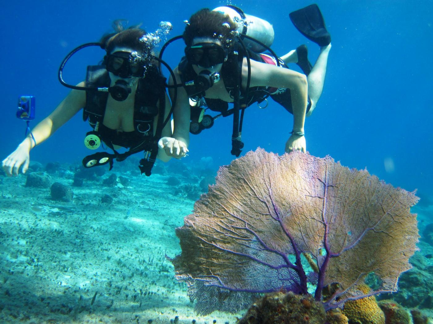 Top 5 Diving Destinations Around Miami That You Need To Explore Scuba Diving In Miami Fl