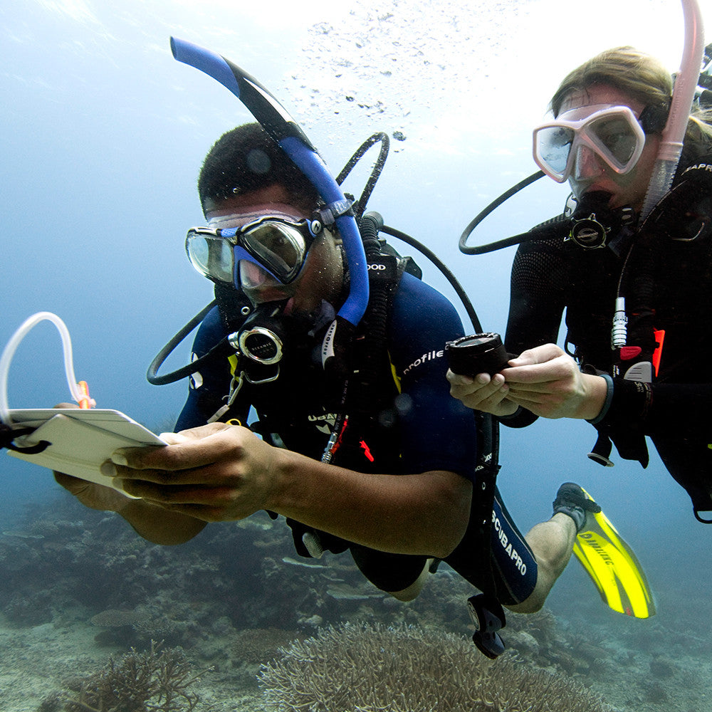 padi open water diver touch final exam