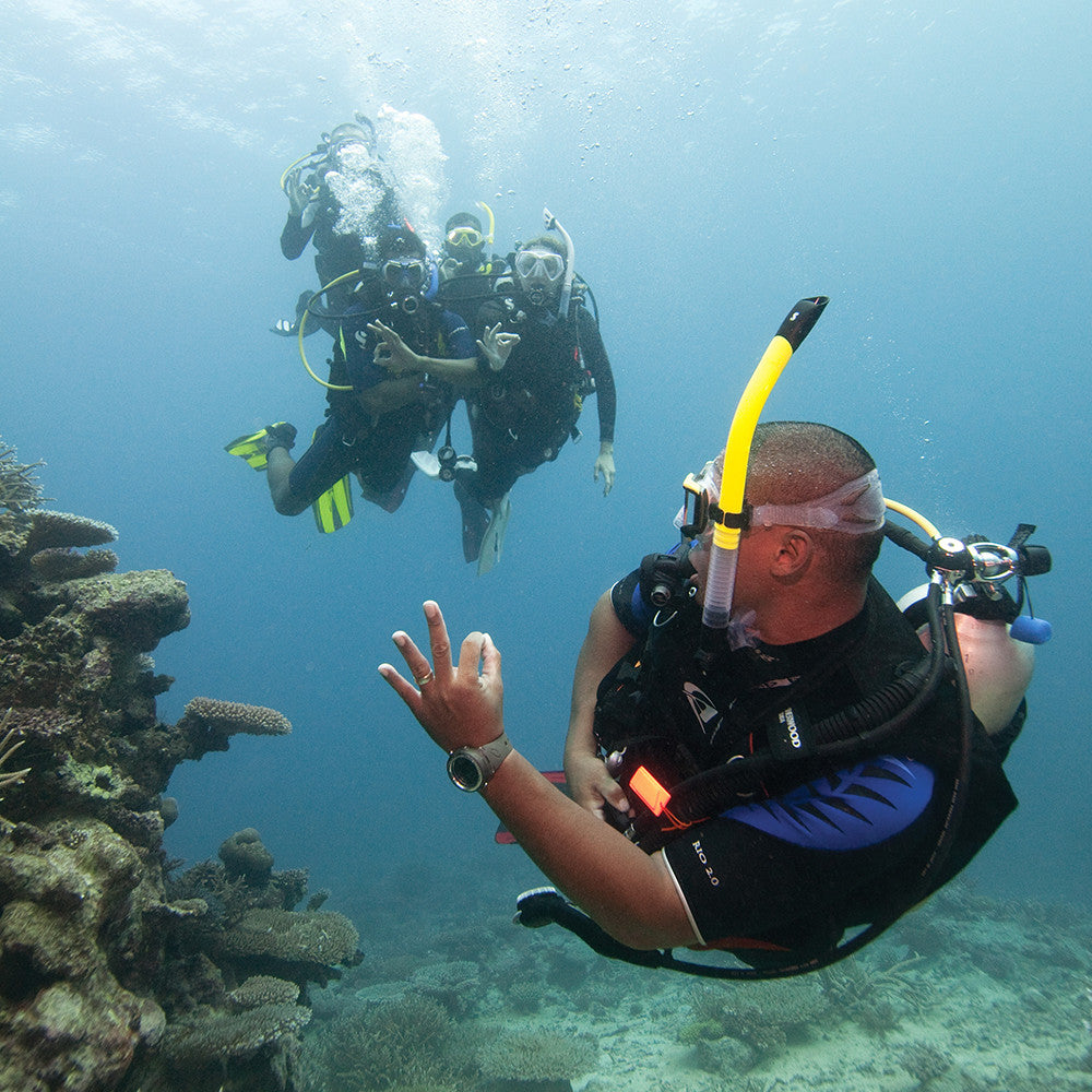 Padi Divemaster Course Scuba Diving In Miami Fl Best Scuba Diving Classes Squalo Divers