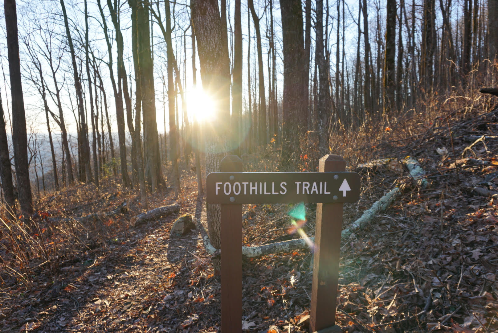 Foothills Trail -- December 2020