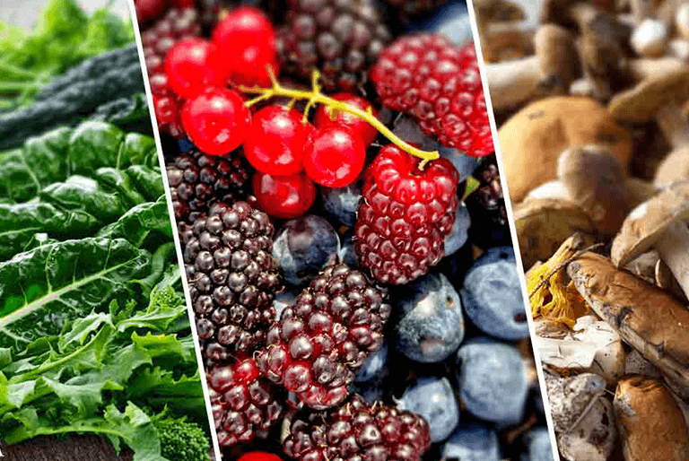 Anti-Inflammatory Foods