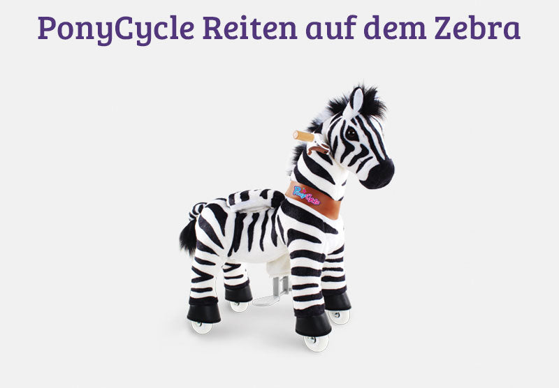 Cycle Reiten auf dem Zebra
