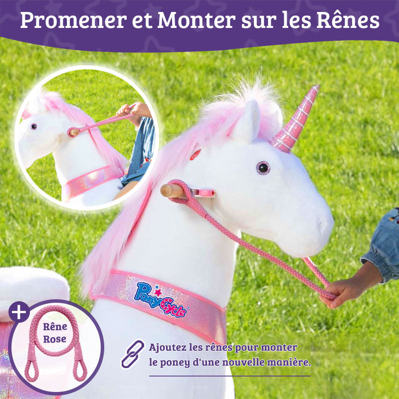 Promener et Monter sur les Rênes