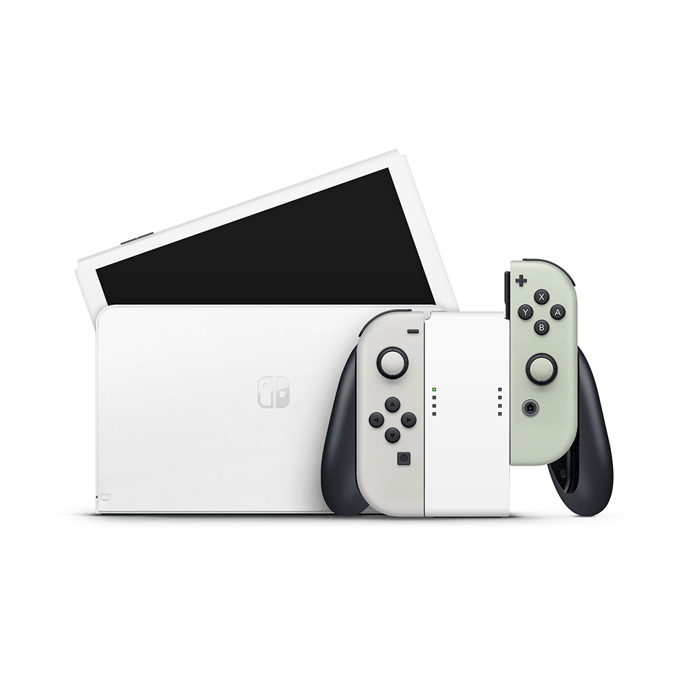  Nintendo Switch Gaming Guide (Black & White): Overview