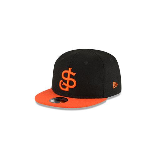 snapback astros hat