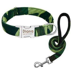 small dog collar and lead