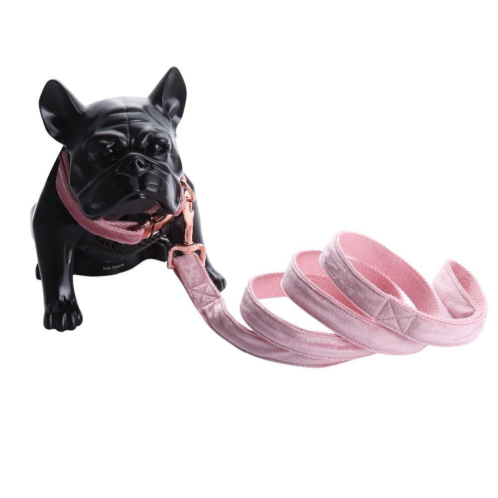 cute dog collar and leash sets