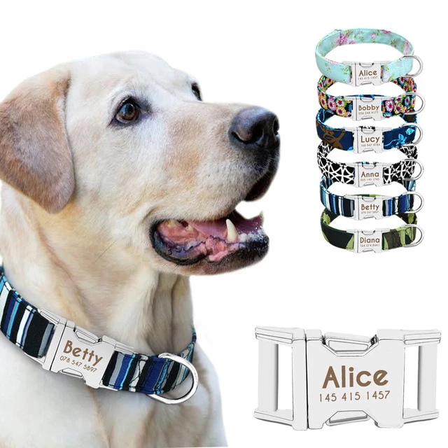 fancy dog collars and leashes