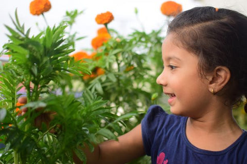 Kids learn gardening on school holidays