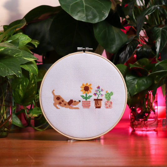 Embroidery Kit for Beginners Cross Stitch Cute Cat And Dog Potted Plant  Full Range DIY Needlepoint Kit for Adults (Plant)