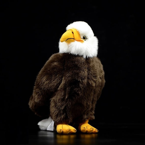 Todo sobre el águila calva: el emblema nacional – Gage Beasley