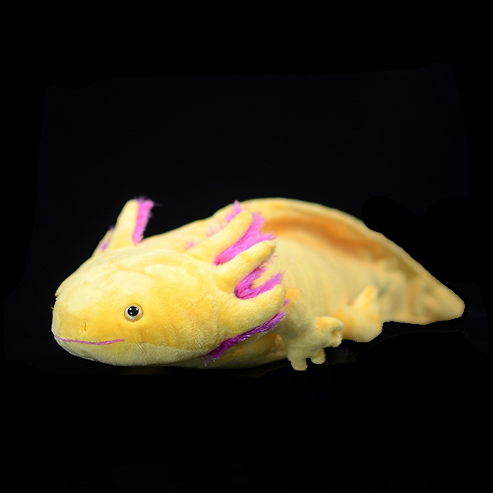 kellytoy dragon plush