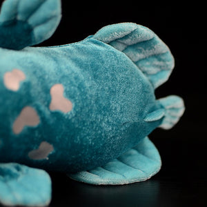 coelacanth plush