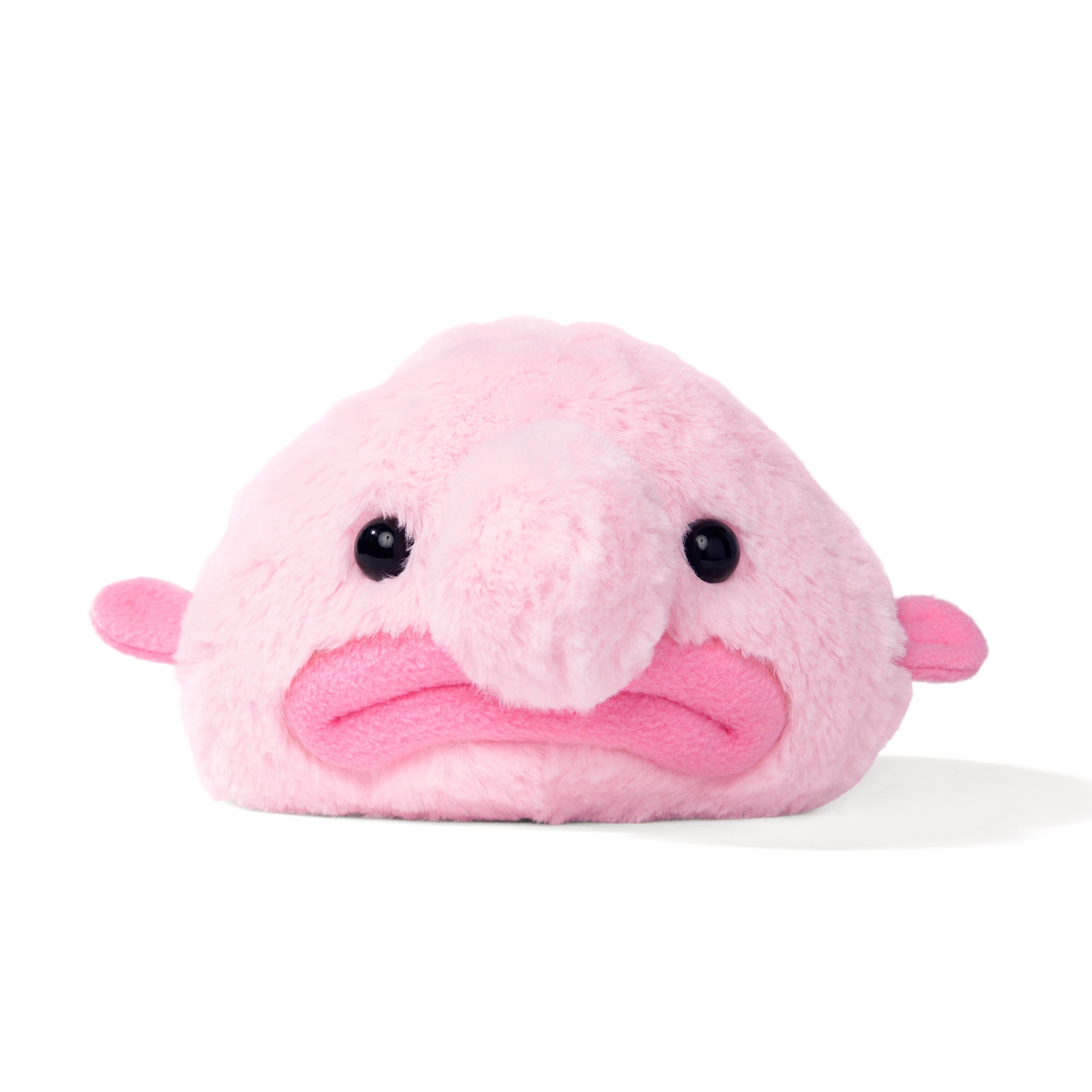 blobfish plush toy