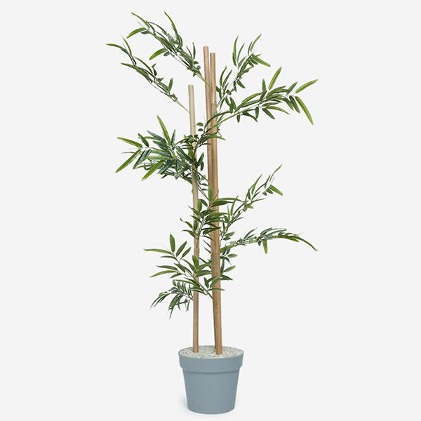 Indoor Decor Plant By Westside Home