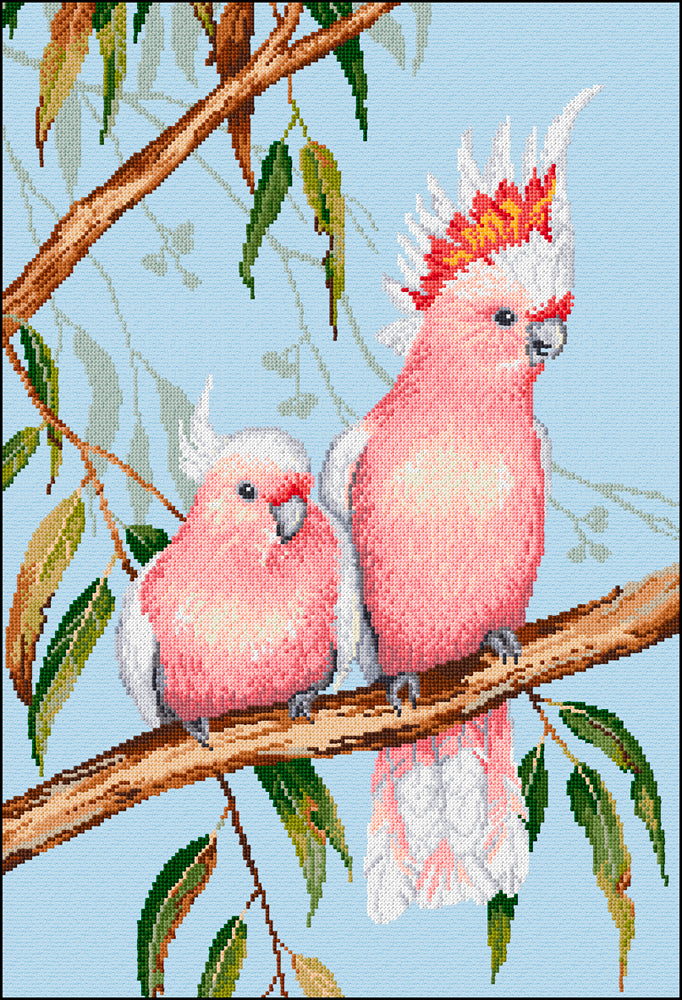 Birds - Lee Daynes - Major Mitchell Cockatoos – Odana Bloomfield