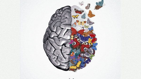an illustration of a brain with many butterflies attached to one side.