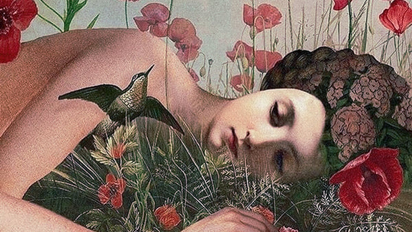 a collage image of a woman lying on grass surrounded by poppy flowers and birds; a concept of dreaming