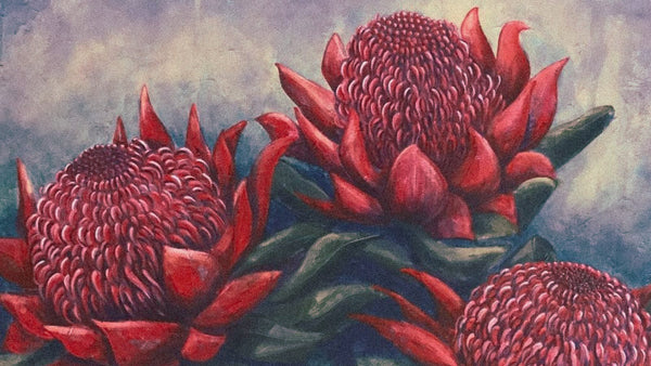 an illustration of a three waratah flowers.