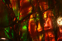 Detail of green and red ammolite