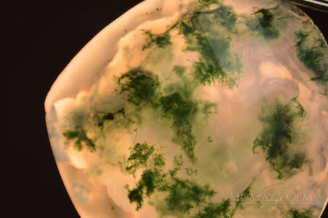 Inclusions in Moss Agate