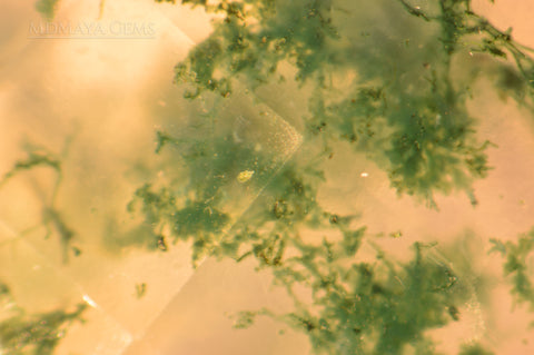 Detail of Inclusions Moss Agate