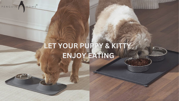 Slip Resistant Pet Bowls and Silicone Feeding Mat Set, Catch Water