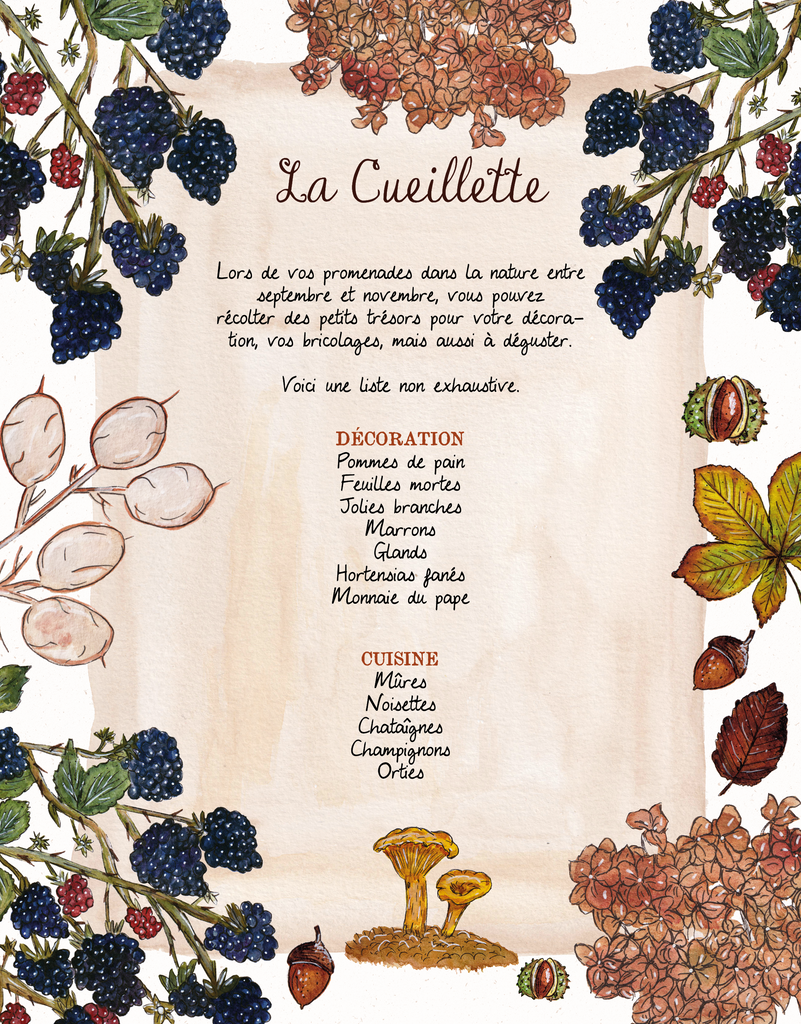 La cueillette page extraite du livre Mon Automne Cosy de Caroline Millet