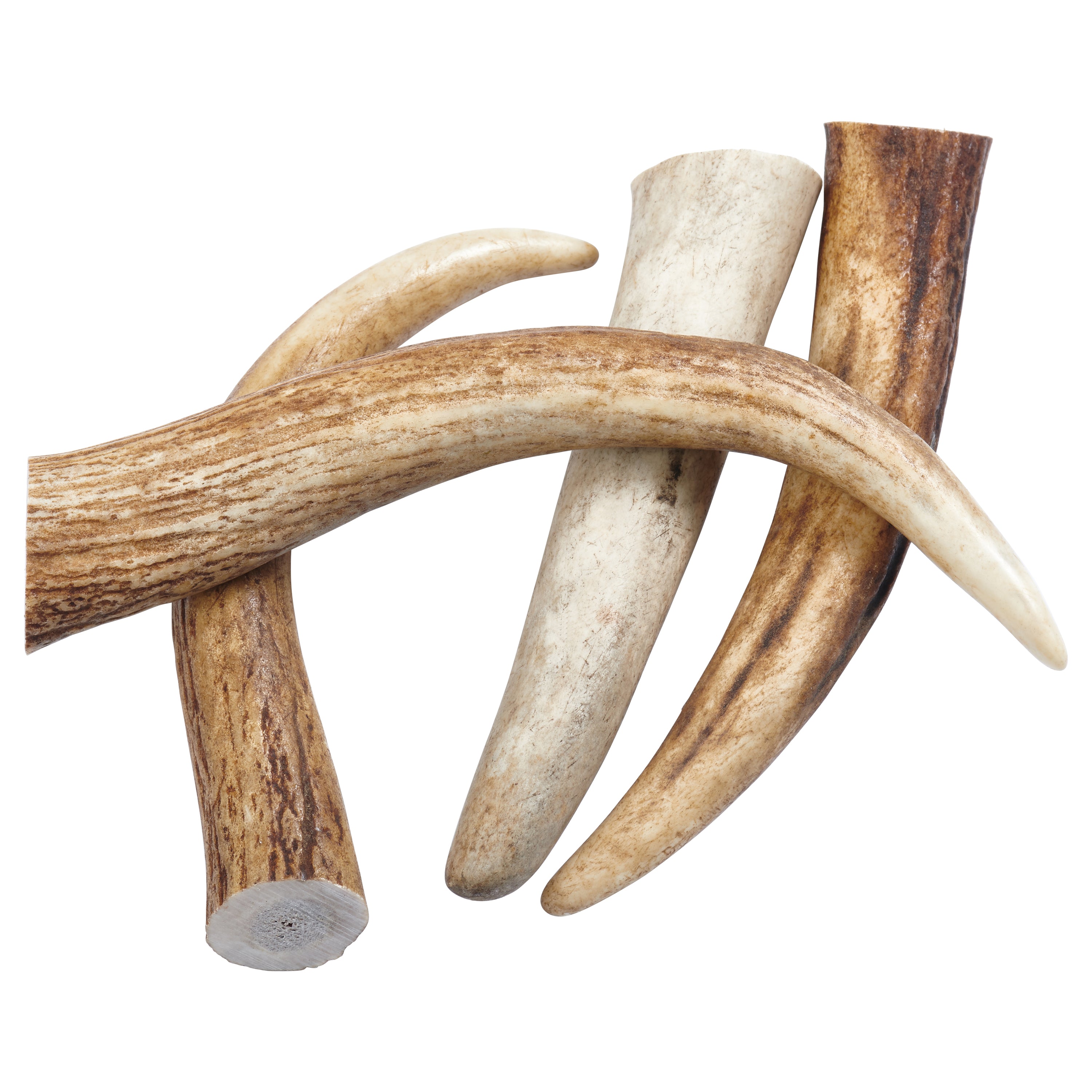 elk antlers for dogs