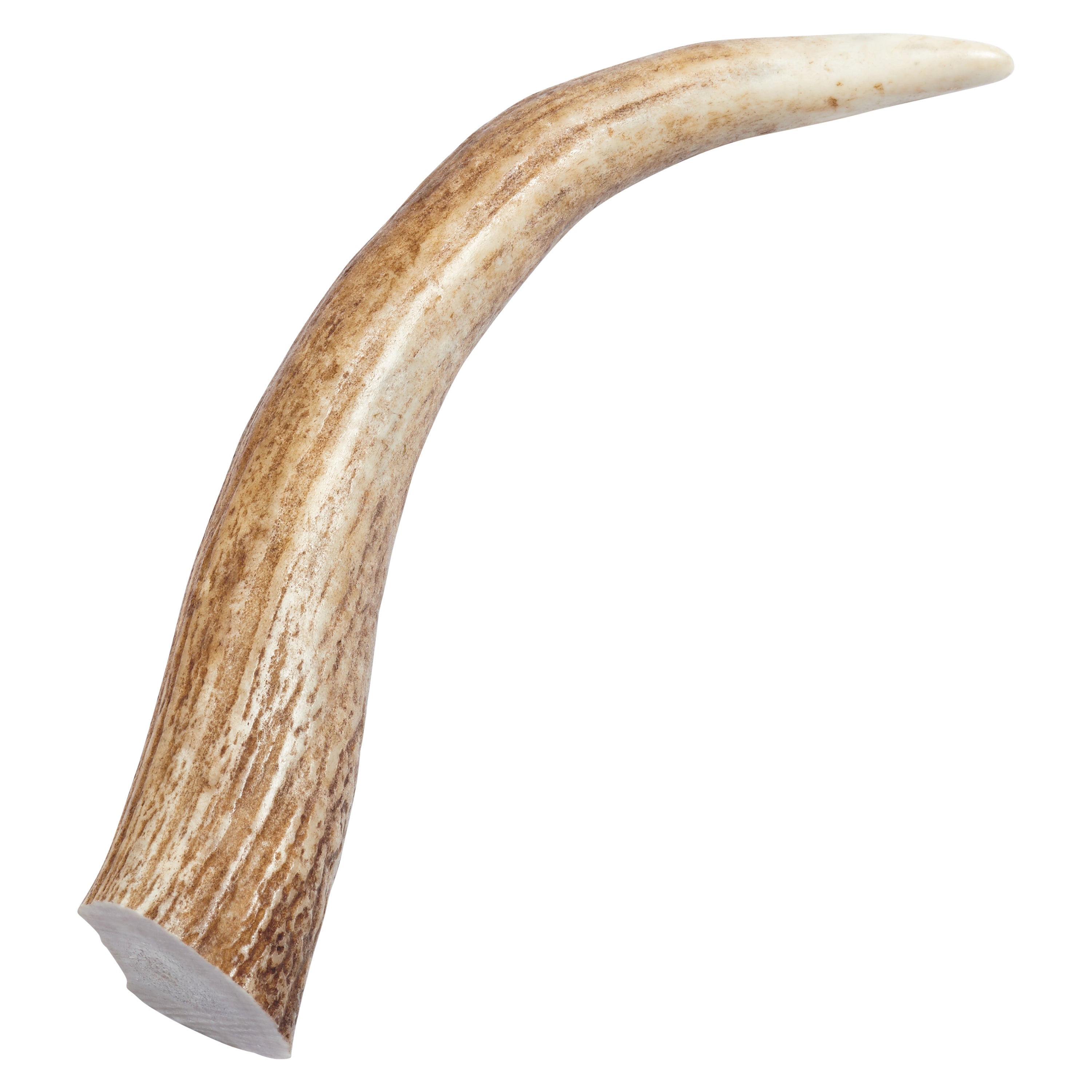 cheap elk antlers for dogs