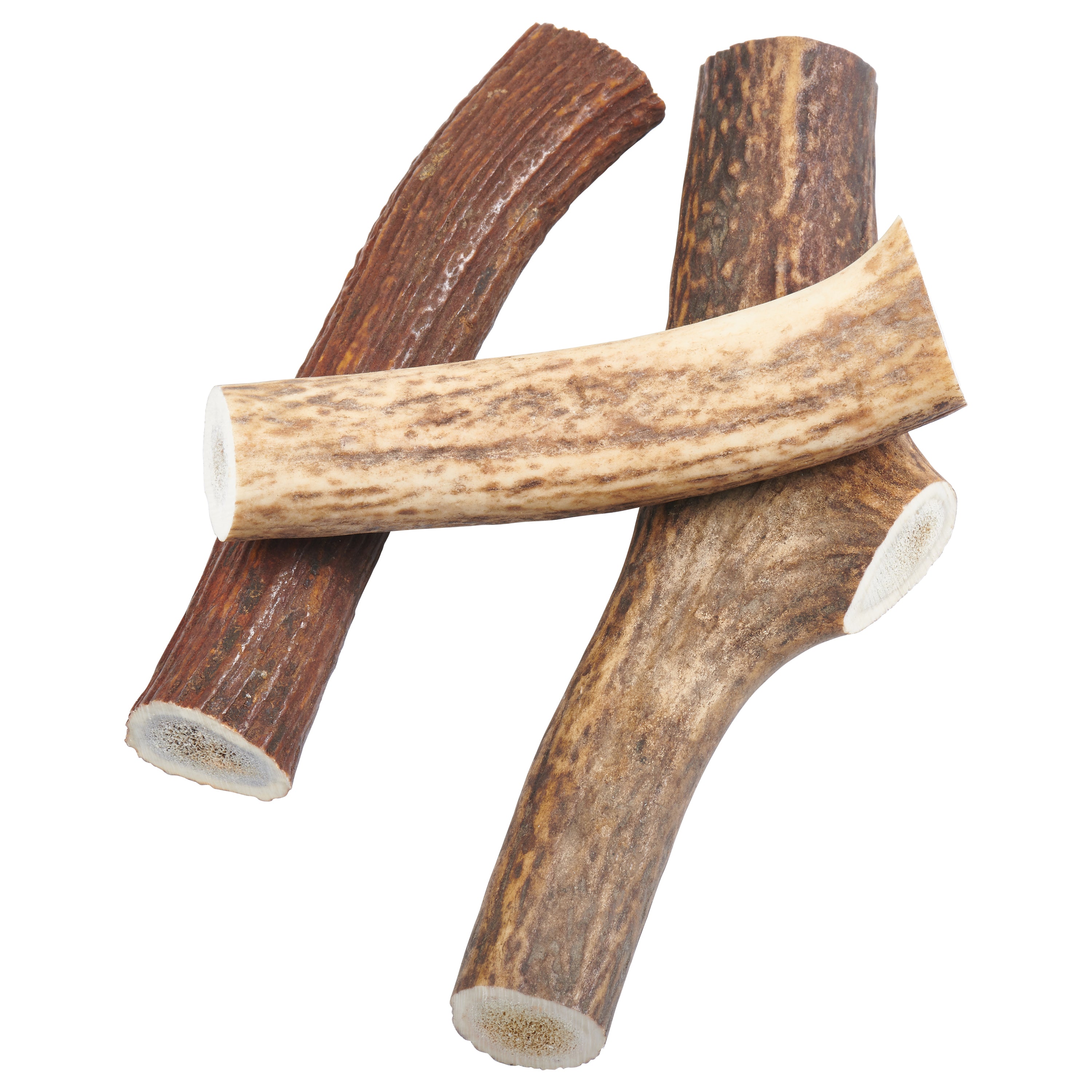 elk antlers for dogs wholesale